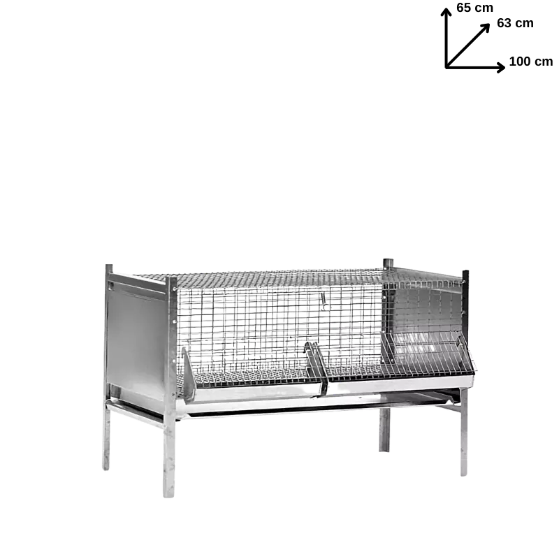 Gabbia Pulcini e Polli