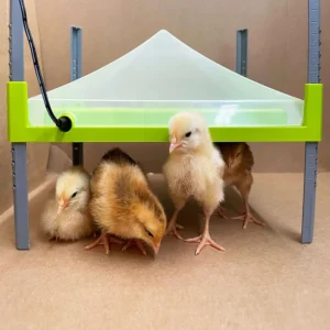 Piastra RiscaldanteCALEO 700 River