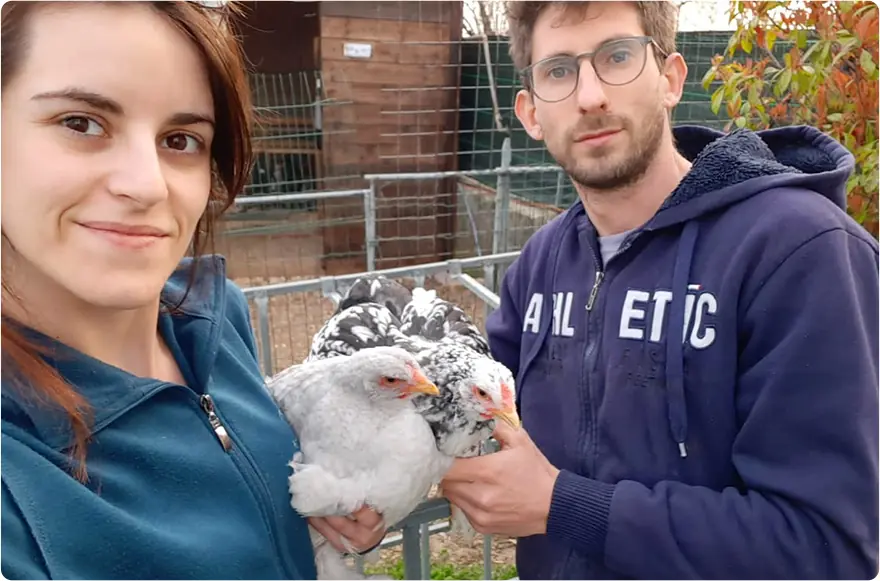 prodotti per animali da allevamento e cortile