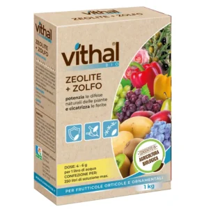 ZEOLITE+ZOLFO POLVERE MICRONIZZATA KG.1