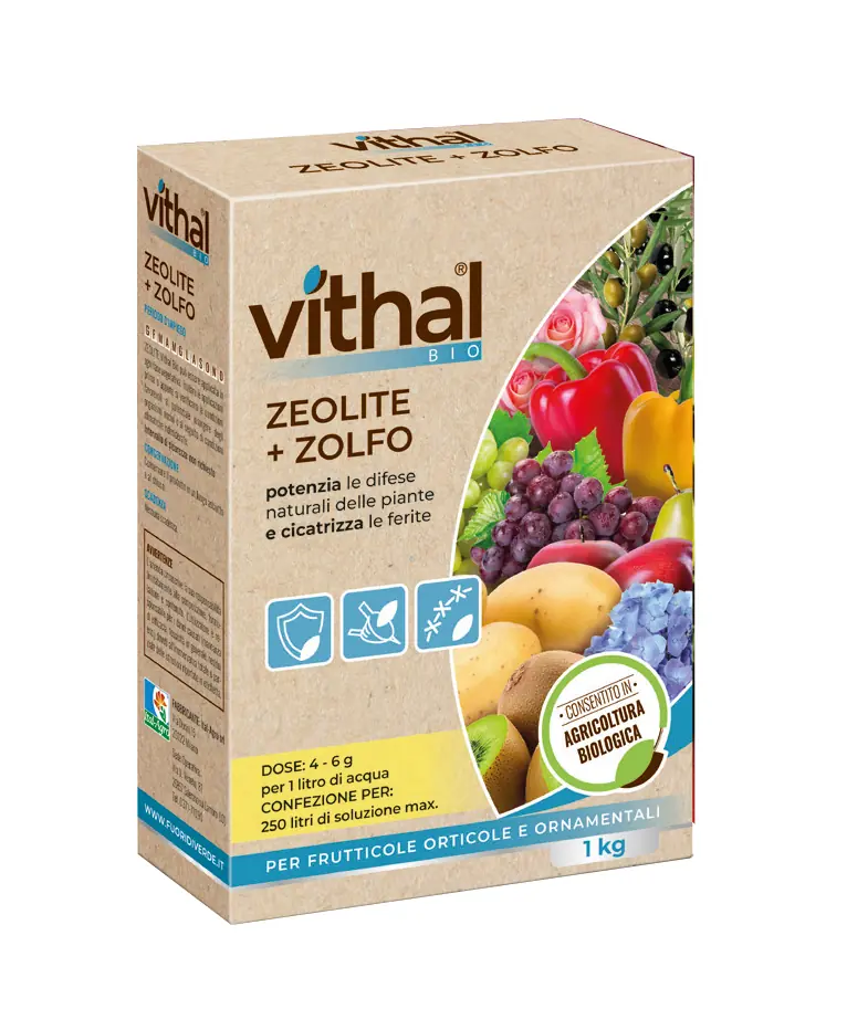 ZEOLITE+ZOLFO POLVERE MICRONIZZATA KG.1