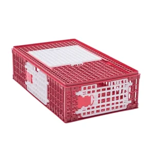 Gabbia Trasporto Avicoli/Conigli 3 Porte H 27.5cm