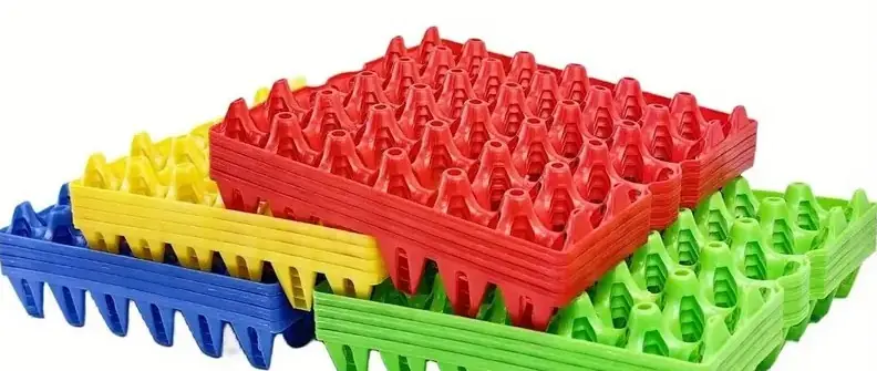 Vassoio Portauova da 30 uova