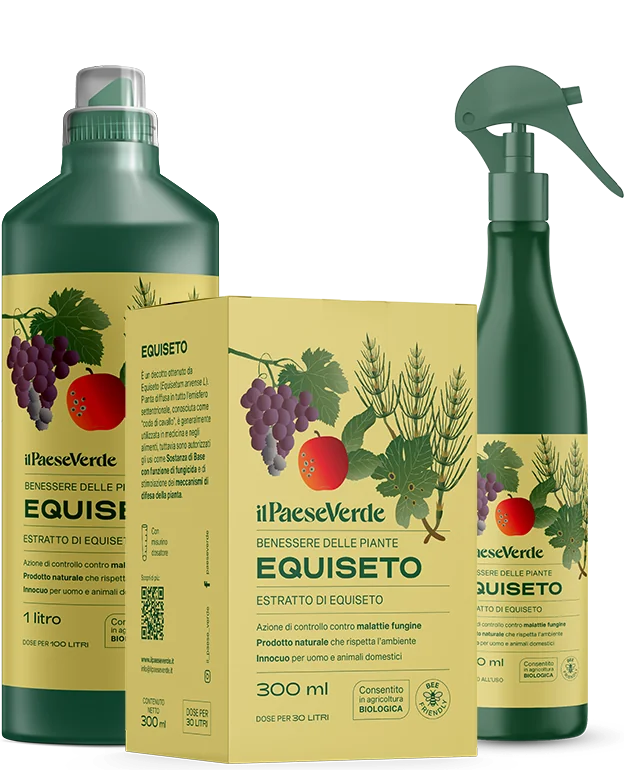 EQUISETO FLACONE 0.5Lt