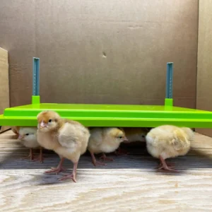 Piastra RiscaldanteCALEO 1400 River