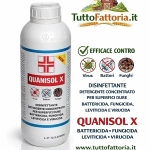 Quanisol x Disinfettante