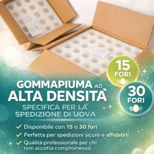 Gommapiuma Forata Spedizione Uova