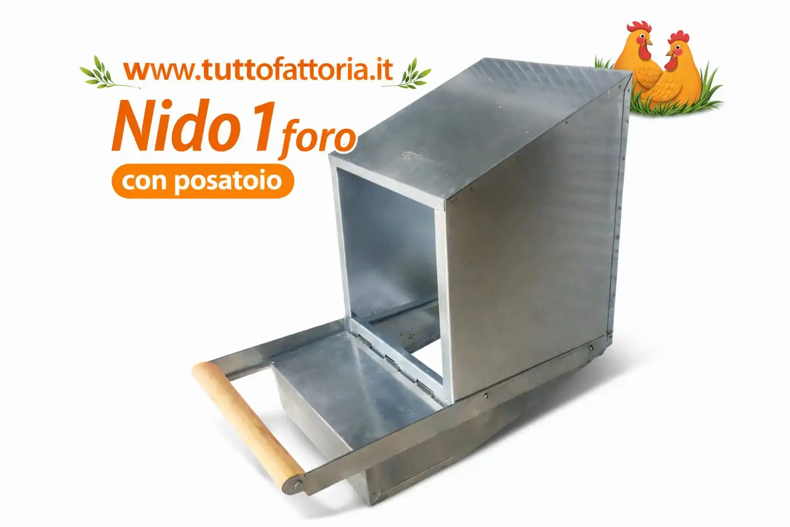 Nido 1 Foro con Posatoio