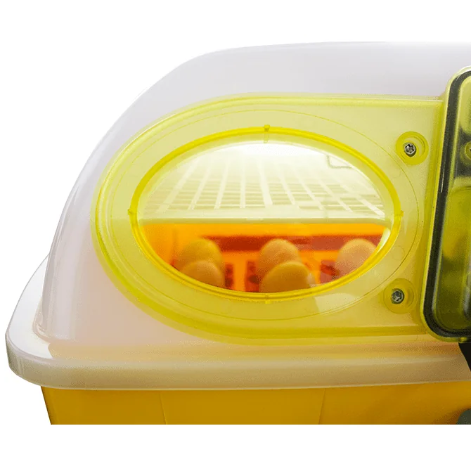 Incubatrice ET24 con unità girauova e Biomaster™ River - immagine 4
