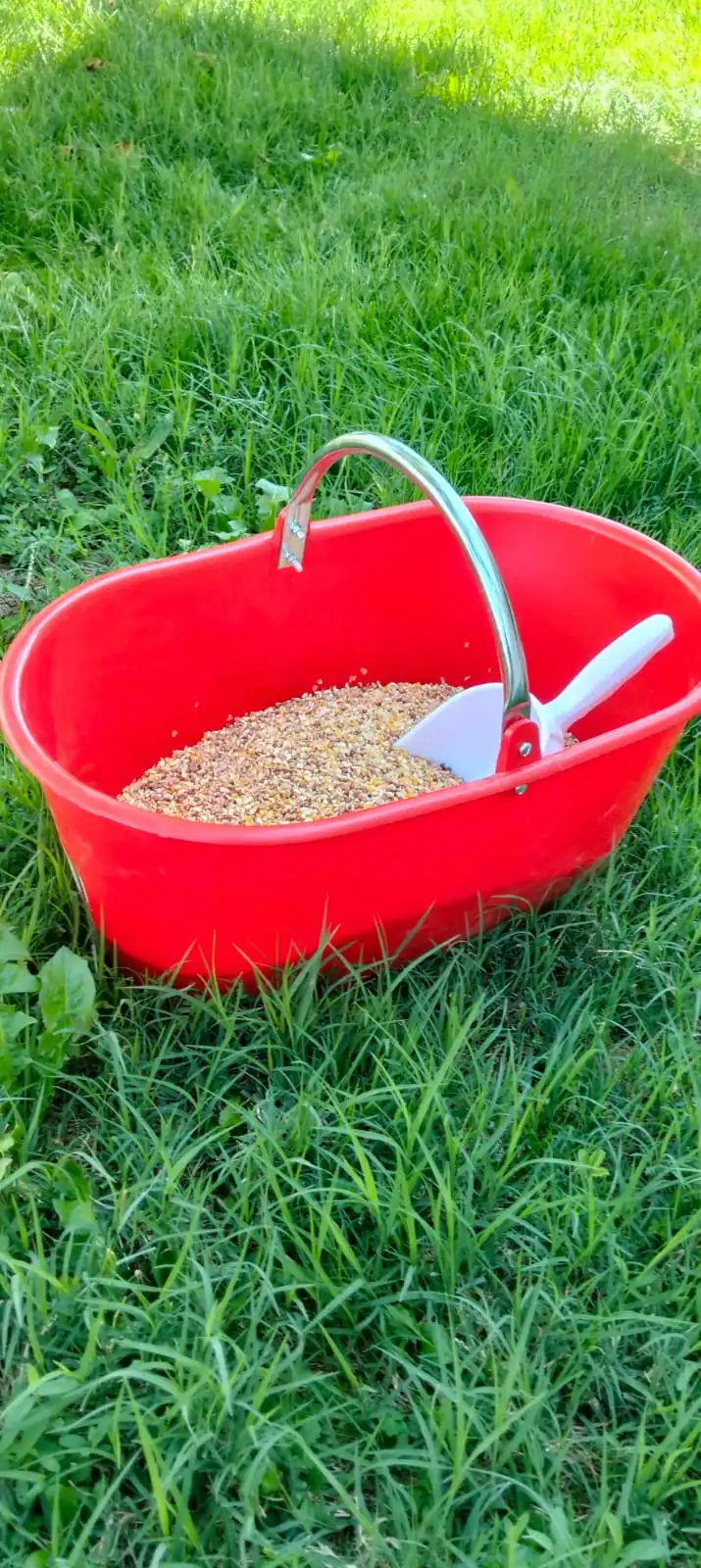 Secchio Granaglie e Ortaggi