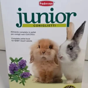 Junior coniglietti