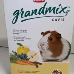 Grandmix cavie e porcellini d'india
