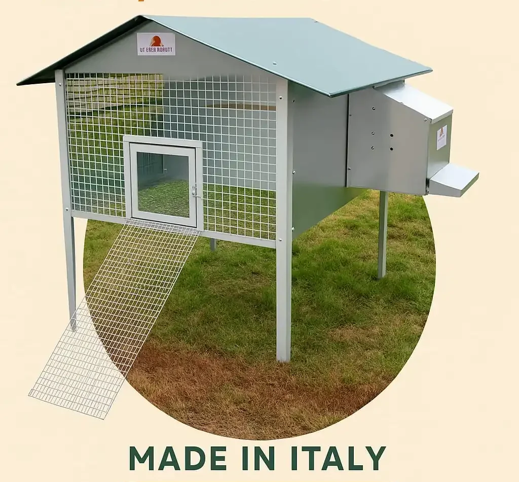 Pollaio Fattoria L (MADE IN ITALY)