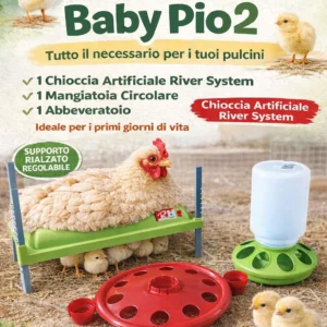 PACCHETTO PULCINO BABY 2 (20/25 pulcini)
