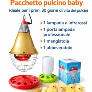 PACCHETTO PULCINO BABY