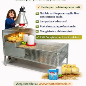 PACCHETTO PULCINO SICURO