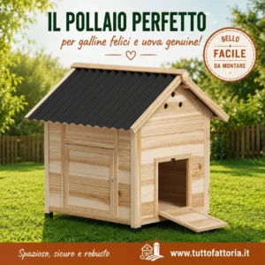 Pollaio Fattoria Anatre / Galline